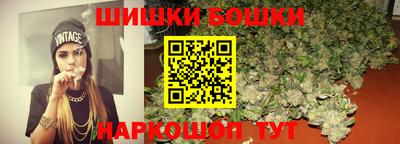 МДПВ Пенза