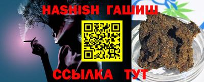 МДПВ Пенза
